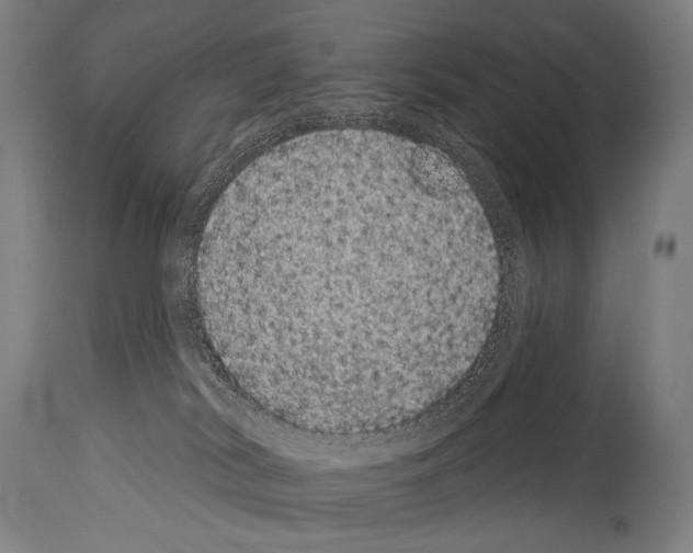X0000113980038200911131105