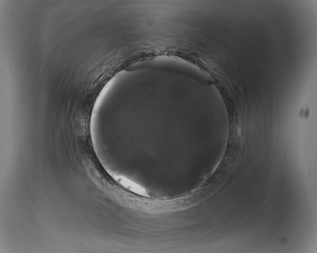 X0000113980039200911131105