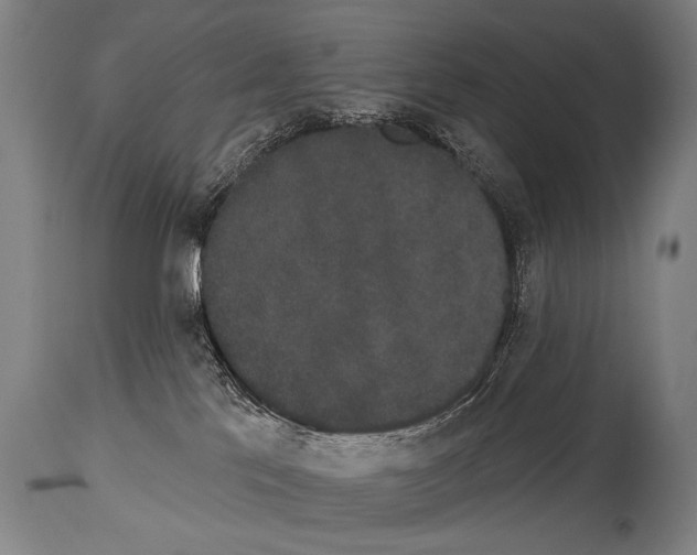 X0000113980041200911131105
