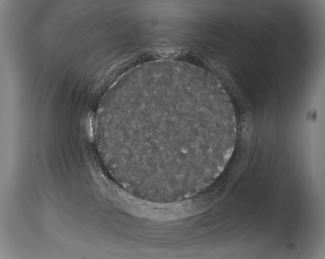X0000113980042200911131105