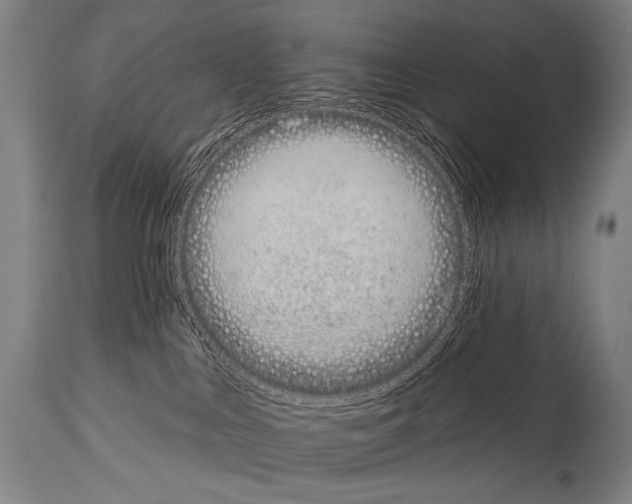X0000113980043200911131105