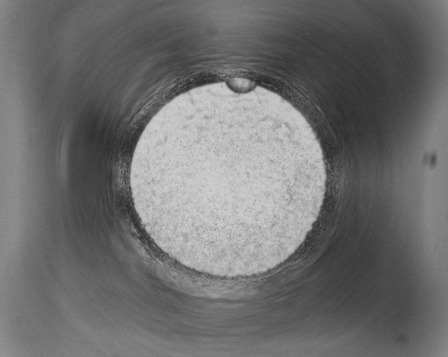 X0000113980044200911131105