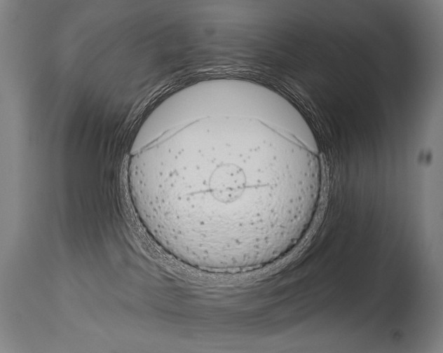 X0000113980045200911131105
