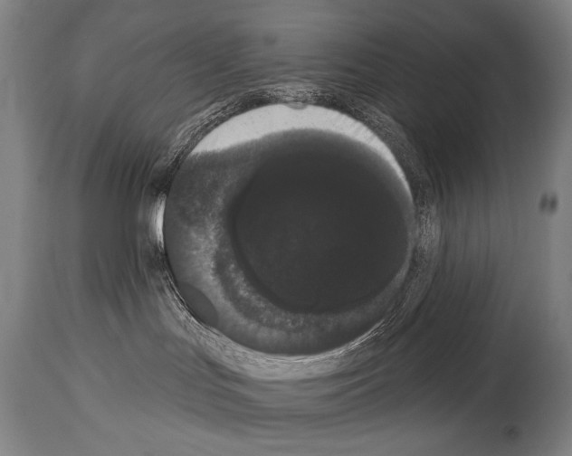 X0000113980047200911131105