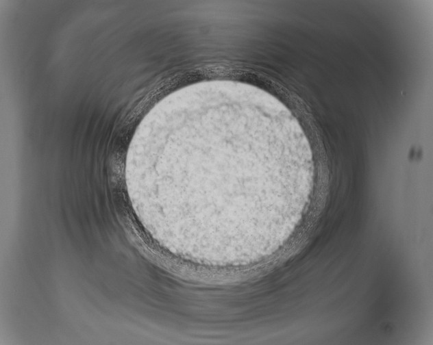 X0000113980048200911131105