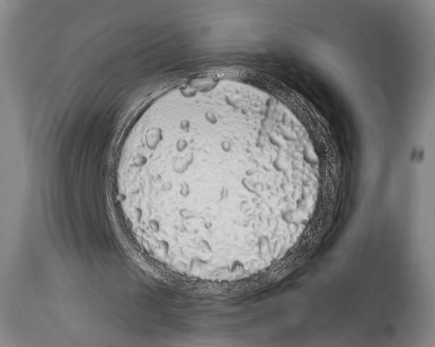 X0000113980049200911131104