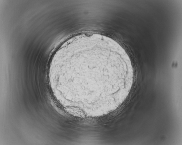 X0000113980050200911131104