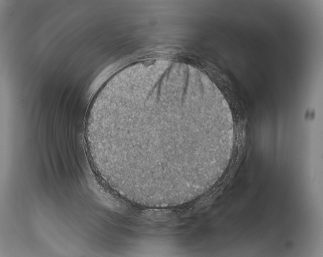 X0000113980051200911131105