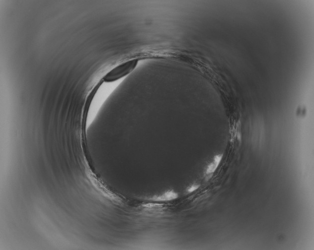 X0000113980052200911131105