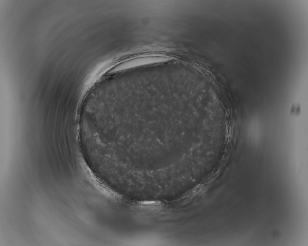 X0000113980053200911131105