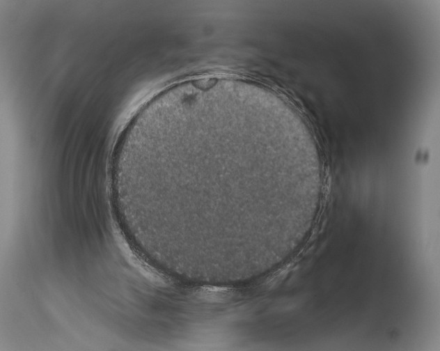 X0000113980055200911131105