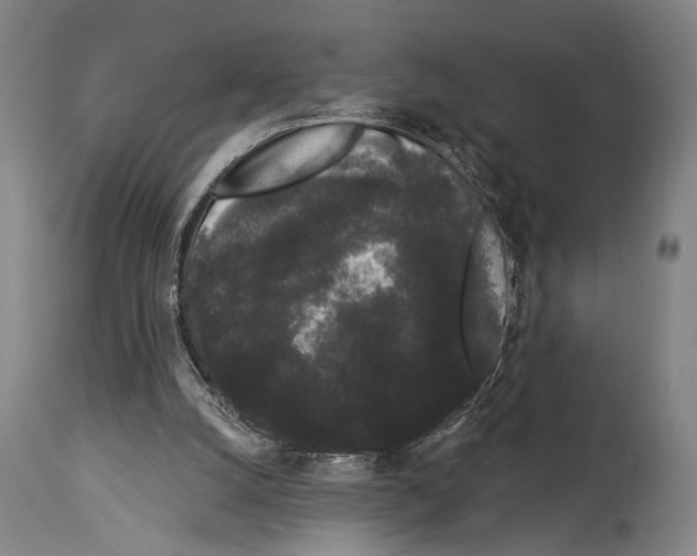 X0000113980056200911131105