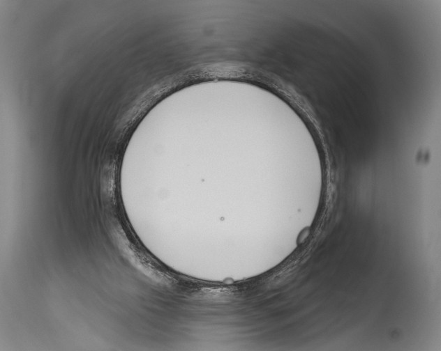 X0000113980057200911131105