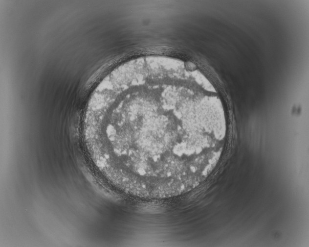 X0000113980058200911131105