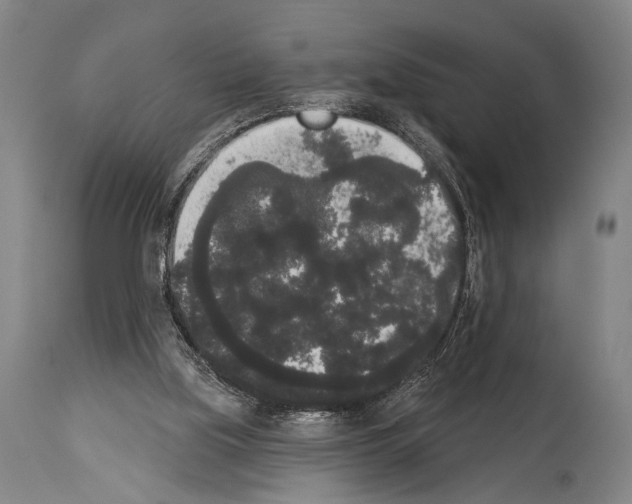 X0000113980059200911131105