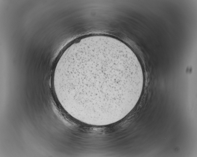 X0000113980060200911131105