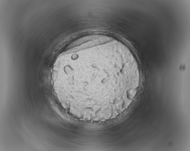 X0000113980061200911131105
