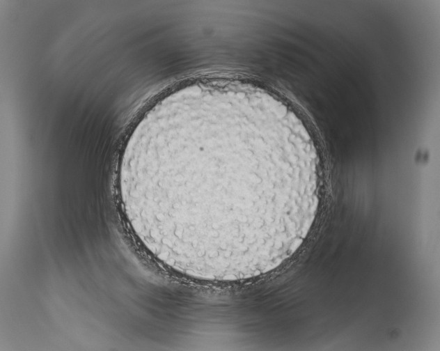 X0000113980062200911131105