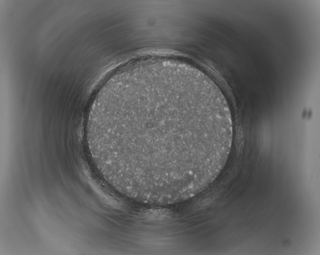 X0000113980063200911131105