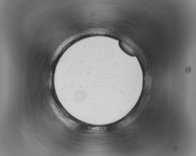 X0000113980064200911131105