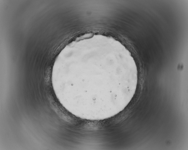 X0000113980065200911131105