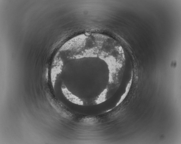 X0000113980067200911131105