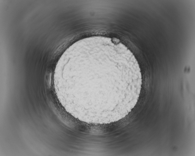 X0000113980070200911131105