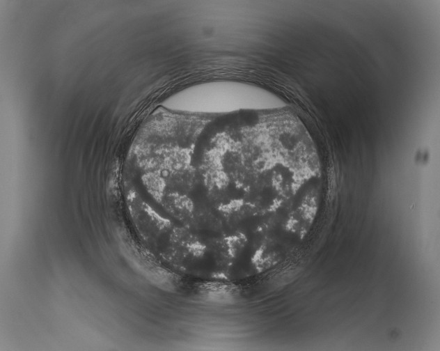 X0000113980073200911131105