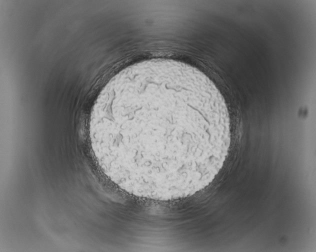 X0000113980074200911131105