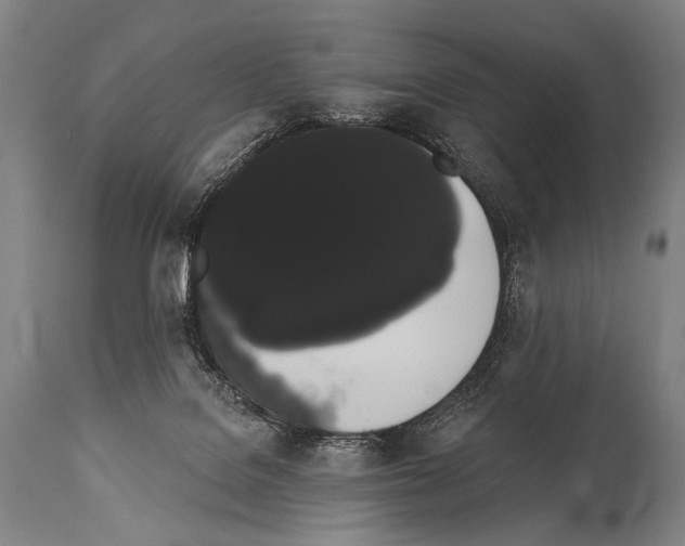X0000113980076200911131105