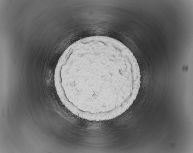 X0000113980077200911131105