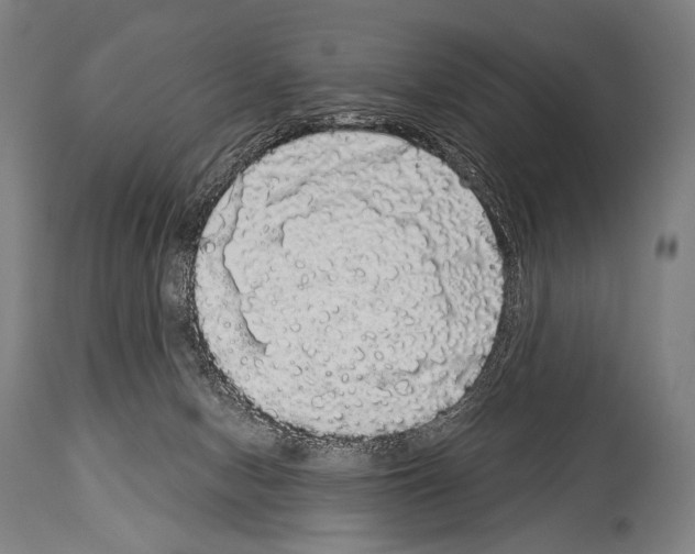 X0000113980078200911131105