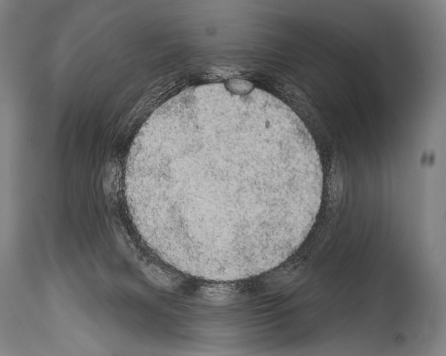 X0000113980079200911131105