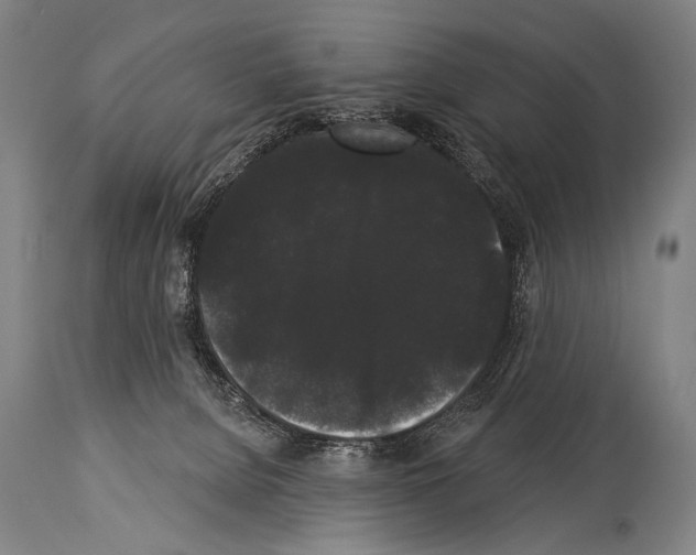 X0000113980080200911131105
