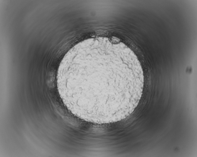 X0000113980082200911131105