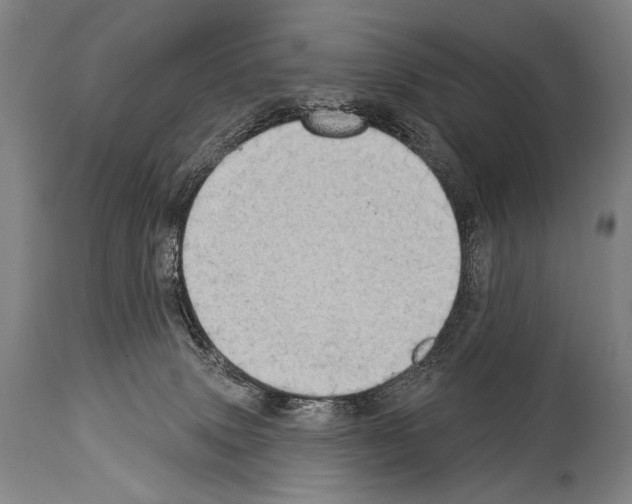 X0000113980083200911131105