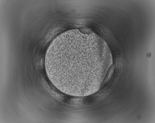 X0000113980084200911131105