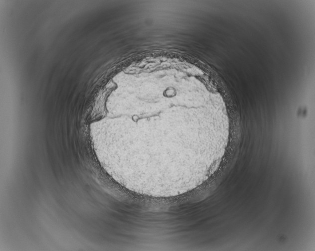 X0000113980085200911131105