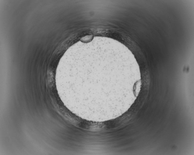 X0000113980087200911131105