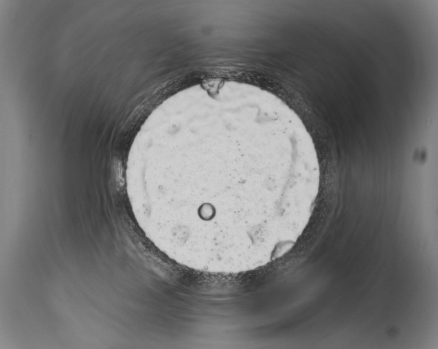 X0000113980089200911131105