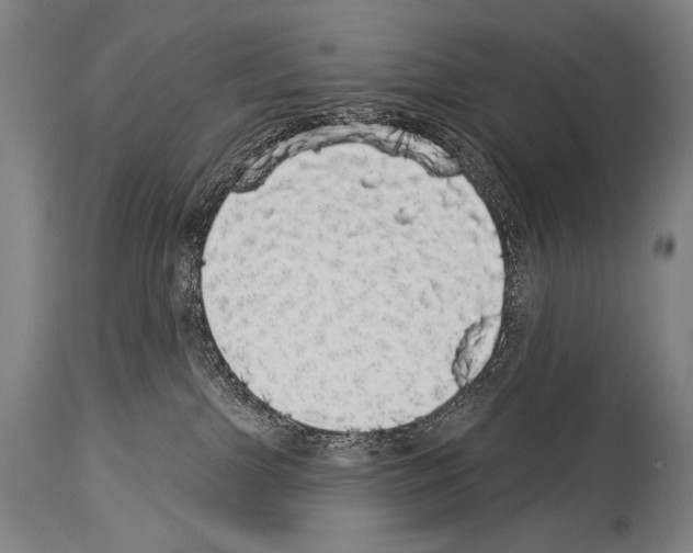 X0000113980091200911131105