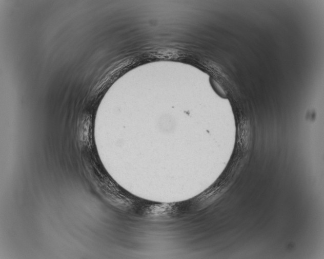 X0000113980092200911131105