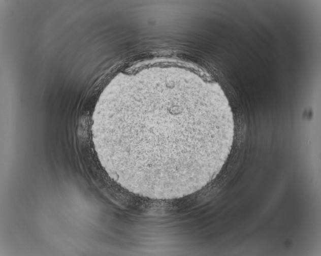 X0000113980093200911131105