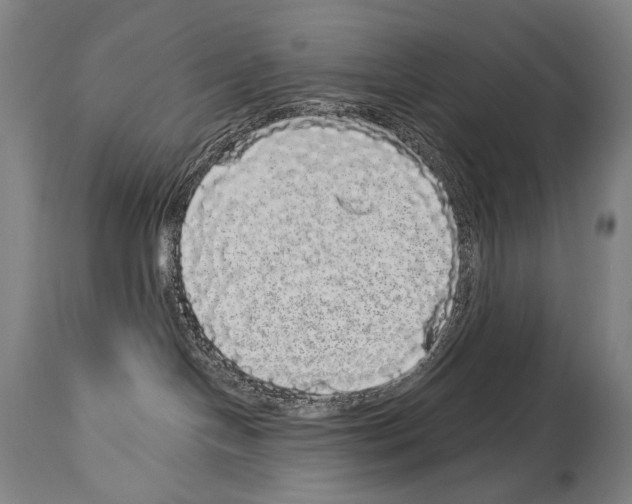 X0000113980094200911131105