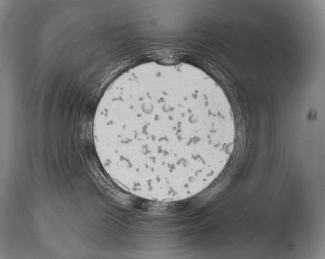 X0000113980096200911131105