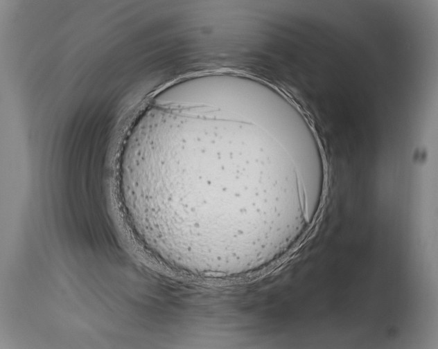 X0000113980097200911131104