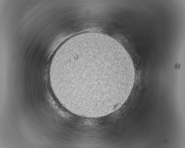 X0000113980098200911131104