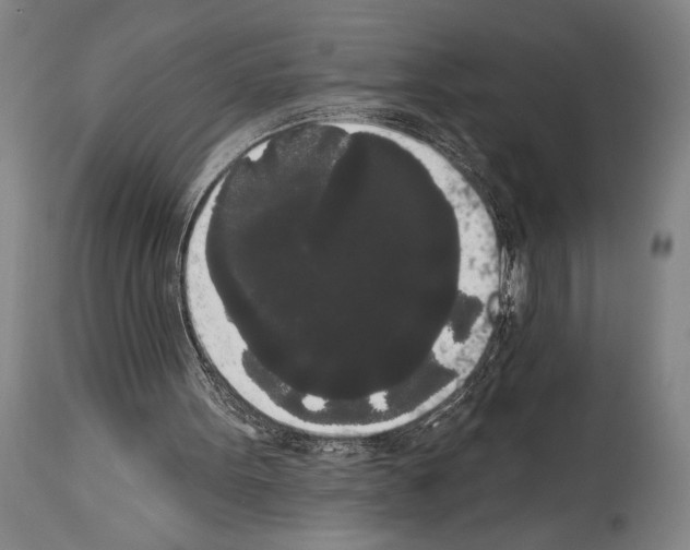 X0000113980099200911131104