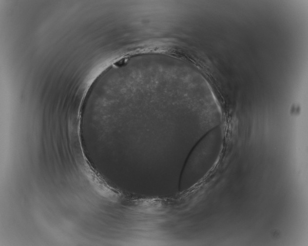 X0000113980100200911131104