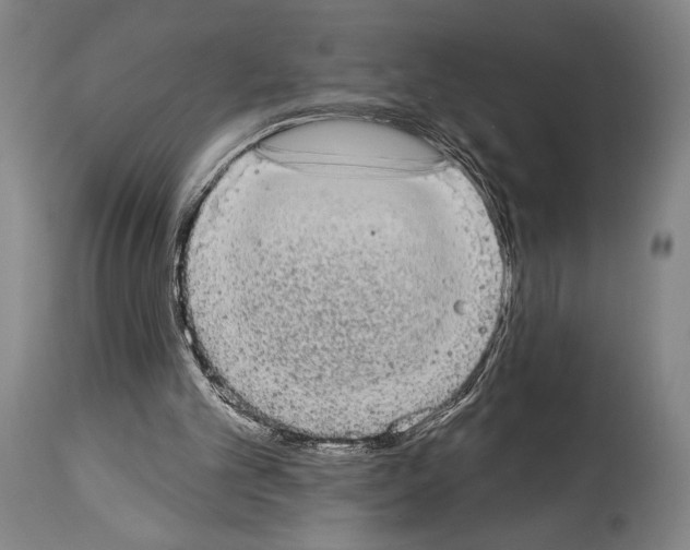X0000113980101200911131104